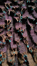 Amaral O. -1979-détail