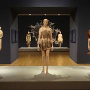 Iris van Herpen: Transforming Fashion 🌐