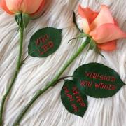 Cut Cloth : Contemporary Textiles and Feminism 🌐