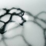 De la promesse du vent, exposition de Nadya Bertaux