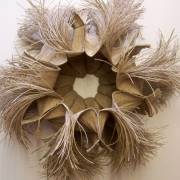 De la présence de la nature – Françoise Ferreux