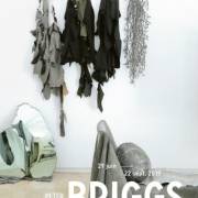 Peter Briggs, Brouillon général