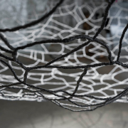 Avis de passage, Nadya Bertaux (F)