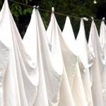 100 nuances de blanc. Une couleur à la mode 🌐
