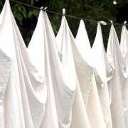 100 nuances de blanc. Une couleur à la mode 🌐