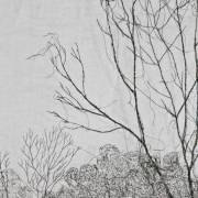 Artextures (F)
