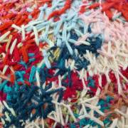 Point compté, Delphine Caraz (F)