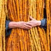 Sheila Hicks 🌐