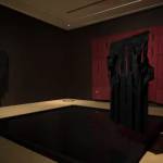 Sayan Chanda: How Many Fires, How Many Suns, How Many Dawns? 🌐