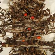 Textiles de plantes