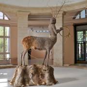 Les chasses nouvelles