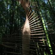 Arts et Nature, un voyage végétal à la rencontre de trois artistes