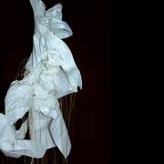 Les artistes ont la fibre !