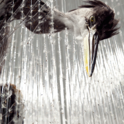 Solo show Claire Morgan Resurgence : My God-Shaped Hole